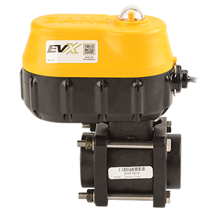 EVXR101 EVXR101